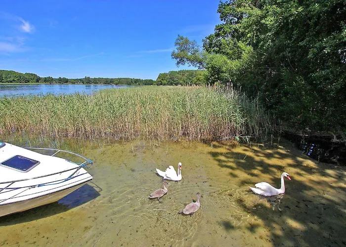 Rheinsberg Holiday home Scharfenberg